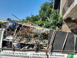 Best Carpet Removal and Disposal  in Little Falls, MN