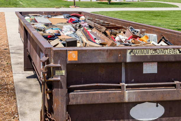Best Shed Removal  in Little Falls, MN